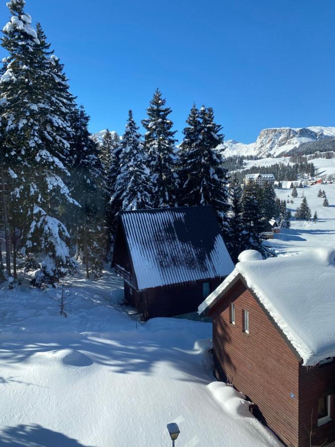 Zlatni Dar Lägenhet Žabljak Exteriör bild